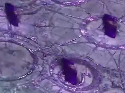 Detonator door locations